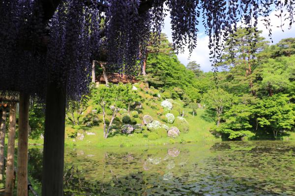霞ヶ城公園(智恵子の藤棚)04