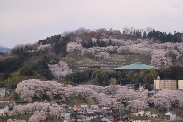 お城山 4月19日の様子01