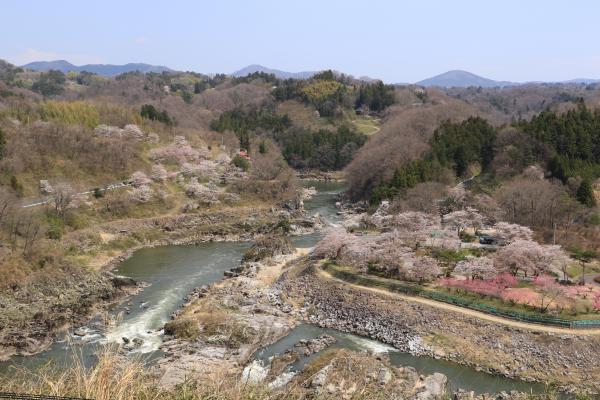 島山・稚児舞台 4月16日の様子