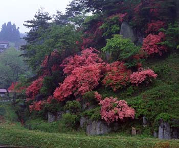 七尋石山の写真