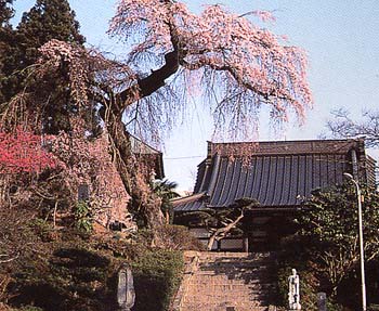 満福寺