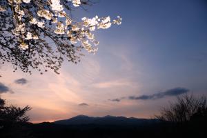 「春の山」部門最優秀賞：桜下遠望