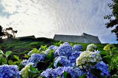 「夏」部門優秀賞 紫陽花飾る城の址