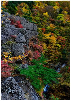 「秋」部門最優秀賞 錦秋の屛風岩