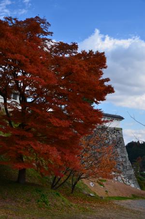 「秋」部門優秀賞 晩秋に燃ゆる