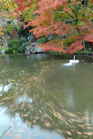 「秋」部門入選 秋色に流されて