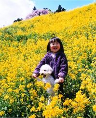 「春」部門 菜の花の中で