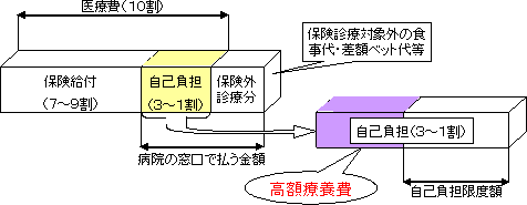 高額療養費についての画像01