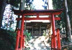 白鳥神社01