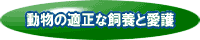 動物の適正な飼養と愛護