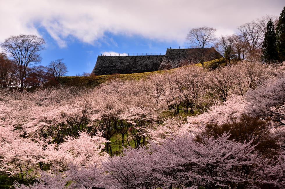 Prefectural Kasumigajo Castle Park