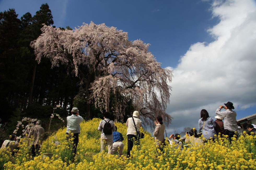 Course01 Prefectural Kasumigajo Castle Park