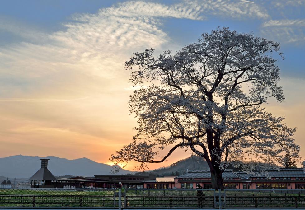 Michi no Eki (Roadside Station) 