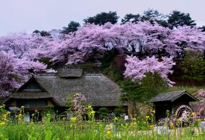 02 安達ヶ原公園01