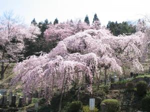 04 本久寺02