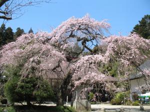 07 大隣寺02