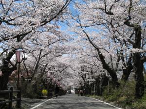 08 岳温泉01桜坂