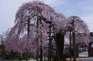 09 円東寺01