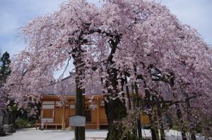 09 円東寺02