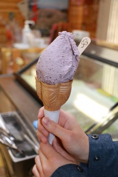 桑の実ジェラート