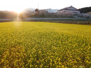 30年春(2)