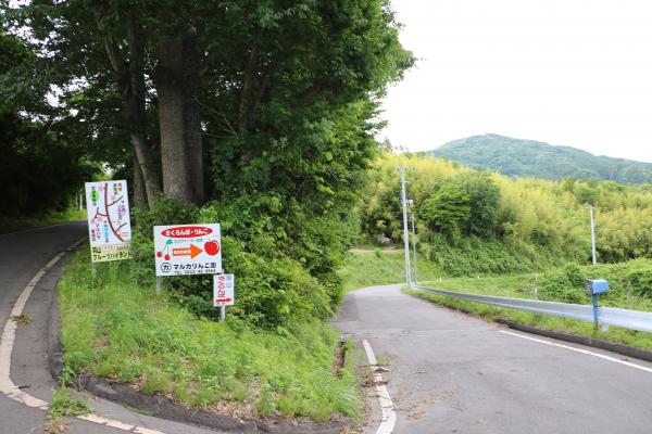 羽山サクランボ（道路標示）