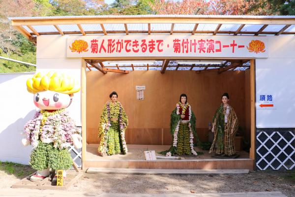 菊付け実演コーナー