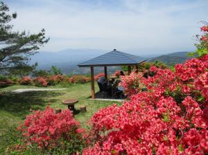 羽山山頂東屋