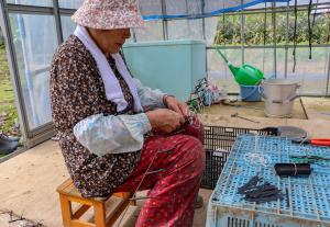 輪台を作る誓子さん