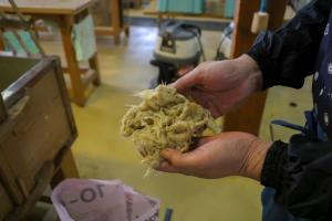 和紙伝承館_取り出した繊維