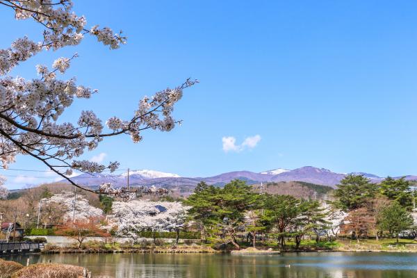 2021鏡ヶ池と桜と安達太良山