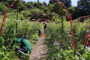 あだたら食農schoolfarm_11耕起区で農作業