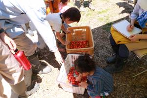 あだたら食農schoolfarm_12トマト食べ比べ