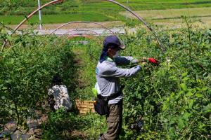 あだたら食農schoolfarm_03耕起区