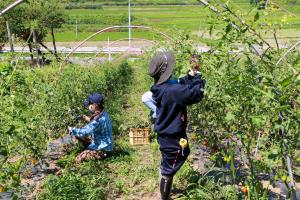 あだたら食農schoolfarm_05耕起区での農作業