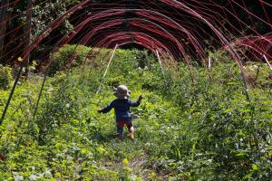 あだたら食農schoolfarm_08畑で遊ぶ子ども
