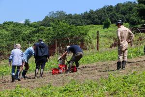 あだたら食農schoolfarm_10不耕起区で大豆の種まき