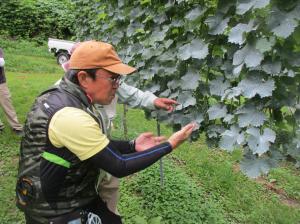 畑山さん作業風景
