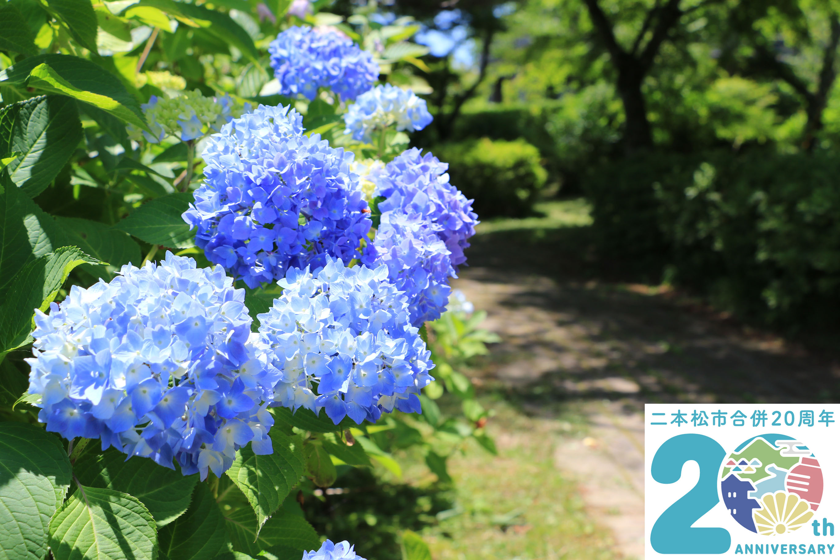 20周年特設ページトップ（初夏）