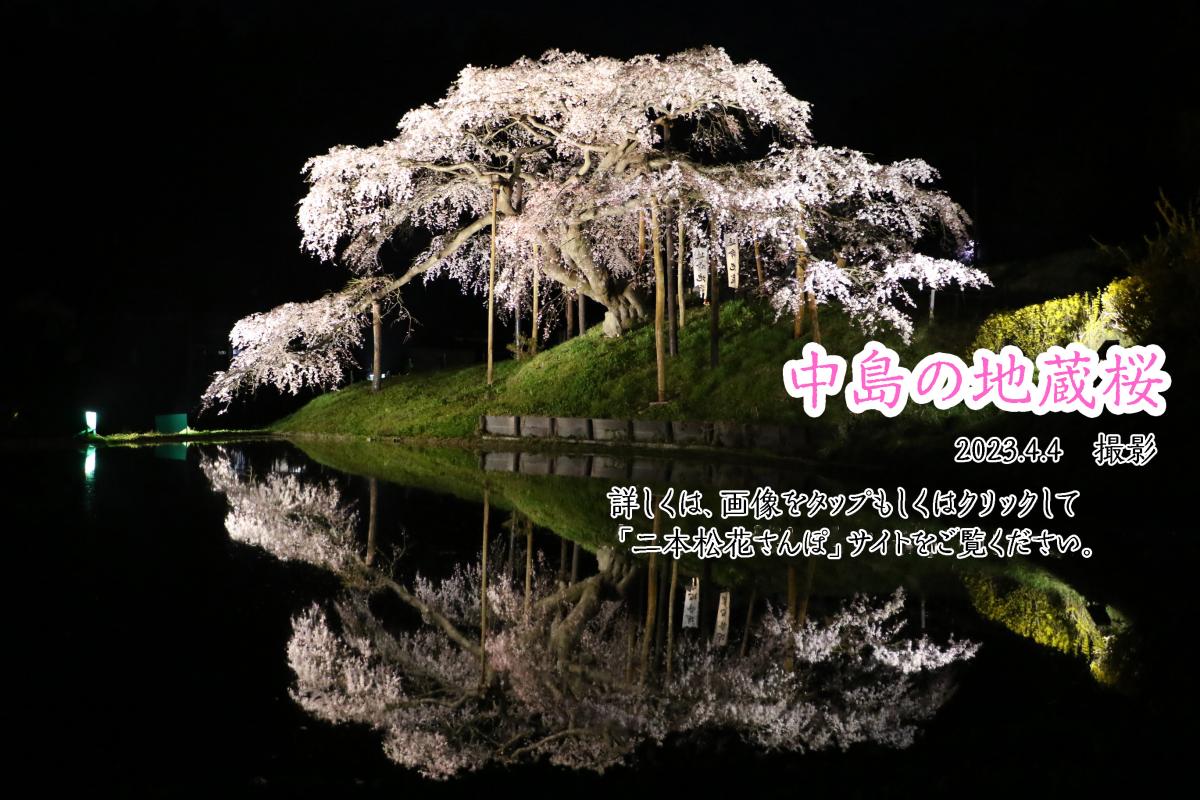 20230404東和中島の地蔵桜（夜）