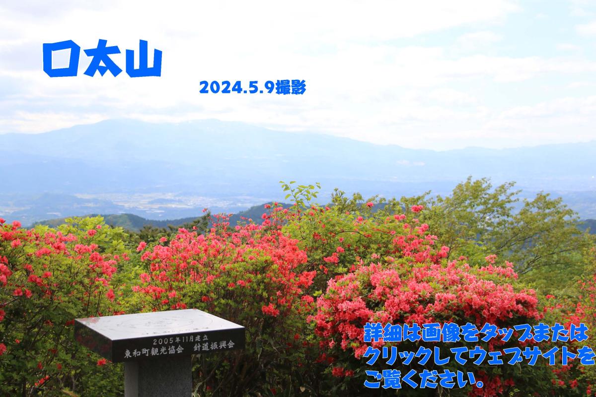 口太山