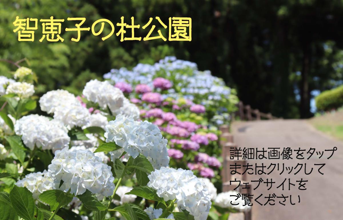 智恵子の杜公園