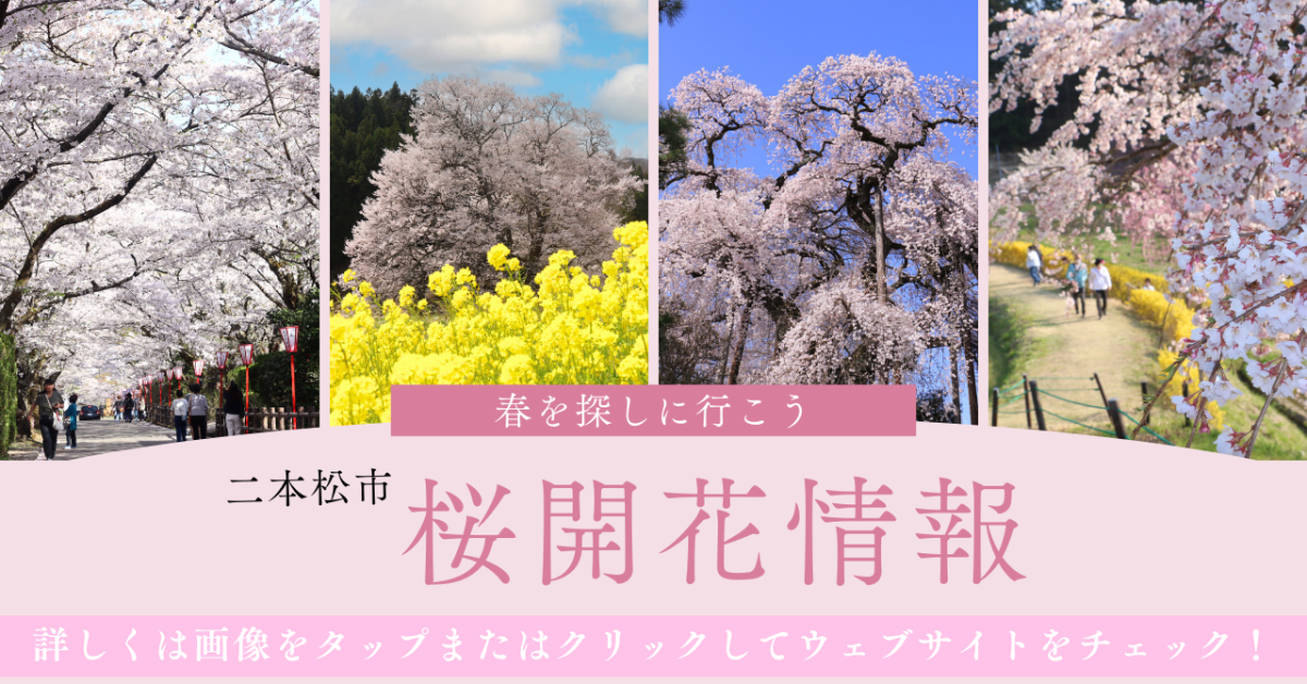 R8桜開花状況