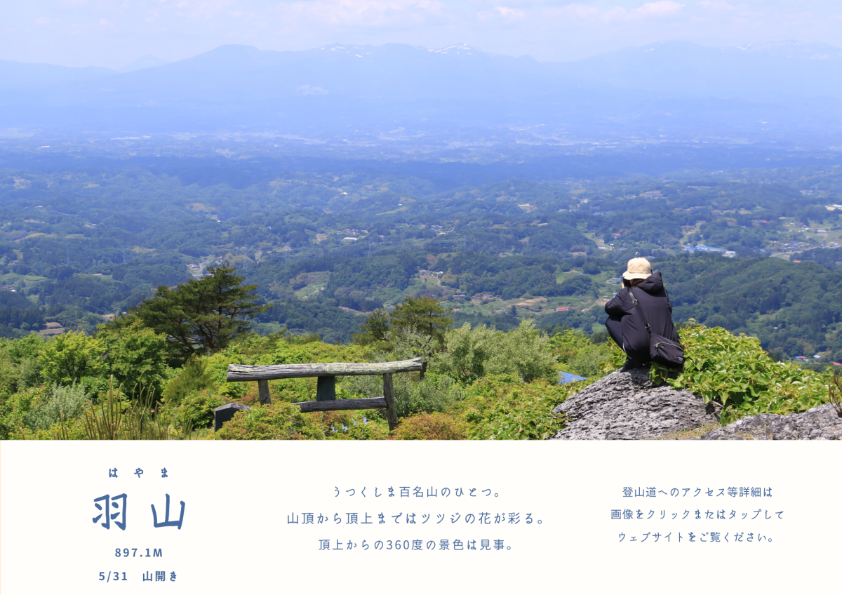 トップページ | 二本松市公式ウェブサイト