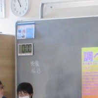 IMG_4401
