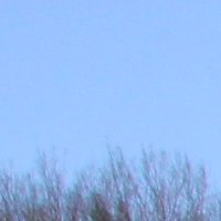 IMG_6738