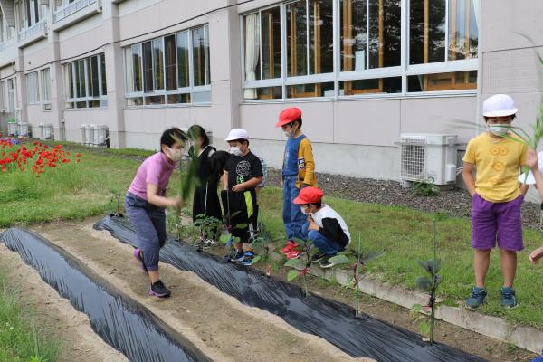 二本松市立原瀬小学校ホームページ