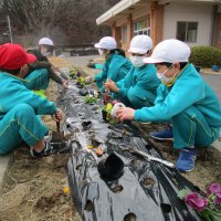 １２月１１日　　旭っ子タイム「花・球根植え」