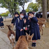 Ｒ６修学旅行２日目（その７）奈良公園