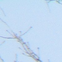 春のような陽気に誘われて